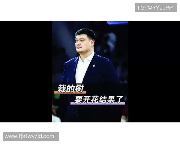 姚明无法左右的篮球世界与个人命运的交织与反思