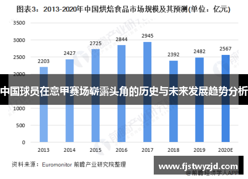 中国球员在意甲赛场崭露头角的历史与未来发展趋势分析